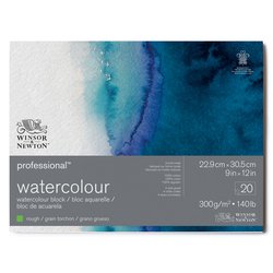 Professional™ Watercolor Block, Rough 140lb, Various Sizes (Winsor & Newton)