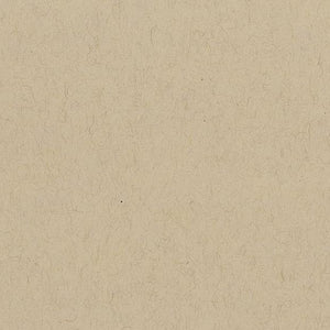 Sketch Paper, Tan Tone, 400 Series, 19"x24" Sheet (Strathmore)