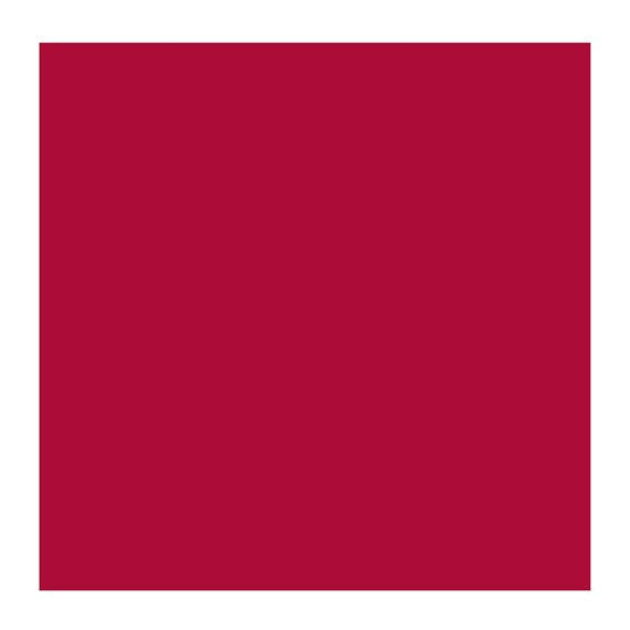 Carmine 318 (Rembrandt Oil Colour) – Alabama Art Supply