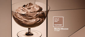 Pantone Color of the Year: Mocha Mousse Collection