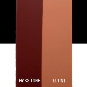 Burnt Sienna (Liquitex Bio-Based Heavy Body)