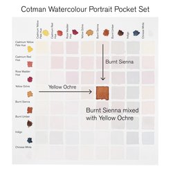 Cotman Watercolours Portrait Pocket Set, 8 Half Pans (Winsor & Newton)