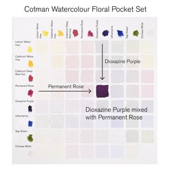 Cotman Watercolours Floral Pocket Set, 8 Half Pans (Winsor & Newton)