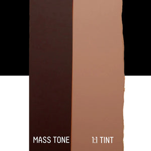 Burnt Umber (Liquitex Bio-Based Heavy Body)