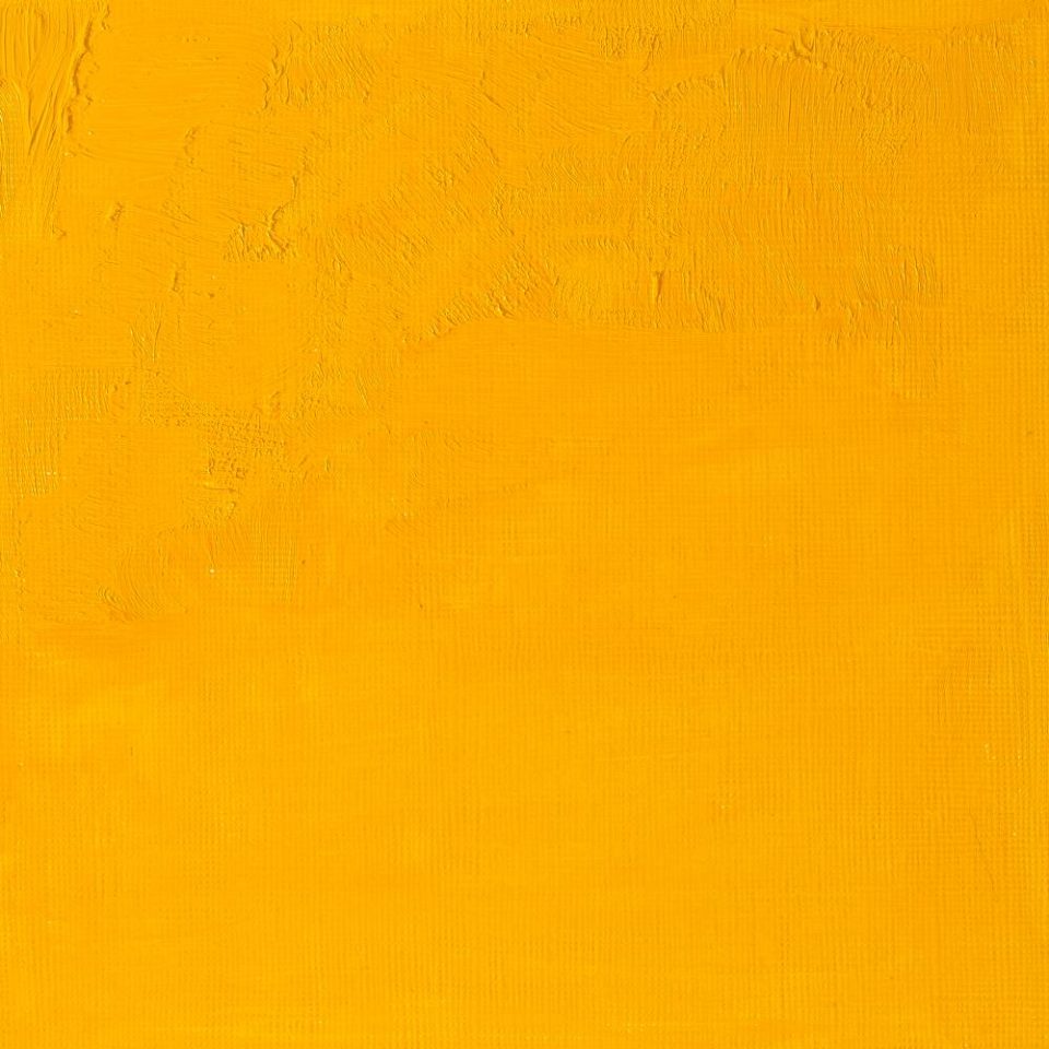 Cadmium Yellow Medium (37mL Oil Paint)