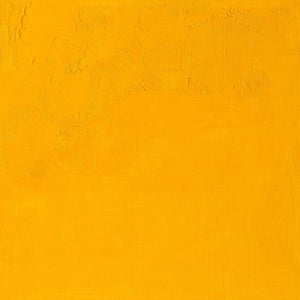 Cadmium Yellow Medium (Winsor & Newton Artisan Water Mixable Oil)