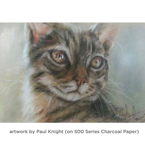 Strathmore Charcoal Paper Pad Series 500 9 x 12