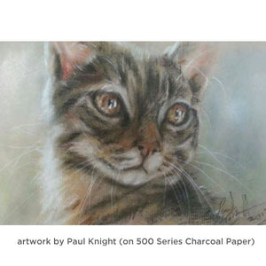 Charcoal Paper 500 Series, Blue Gray, 19"x25" Sheet (Strathmore)
