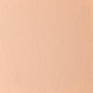 Burnt Sienna (Winsor & Newton Griffin Alkyd)