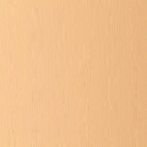 Cadmium Orange Hue (Winsor & Newton Griffin Alkyd)