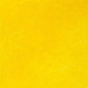 Cadmium Yellow Light Hue (Winsor & Newton Griffin Alkyd)