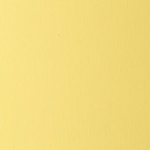 Cadmium Yellow Light Hue (Winsor & Newton Griffin Alkyd)
