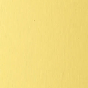 Cadmium Yellow Light Hue (Winsor & Newton Griffin Alkyd)