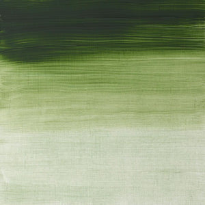 Terre Verte (Winsor & Newton Griffin Alkyd)