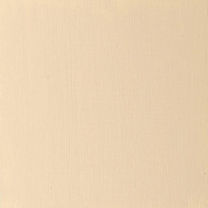 Yellow Ochre (Winsor & Newton Griffin Alkyd)