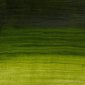Permanent Sap Green (Winsor & Newton Artisan Water Mixable Oil)