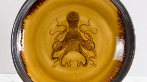 Iron Wash SW301 Stoneware Wash (Mayco)