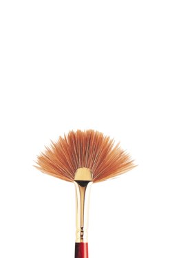 WN Sceptre Gold II Brushes - Fan #6 (Winsor & Newton)