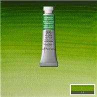 PWC Permanent Sap Green (Winsor & Newton Watercolor)