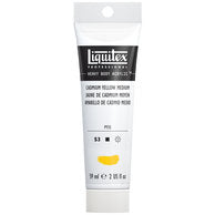 Cadmium Yellow Medium, 161 (Liquitex Heavy Body)