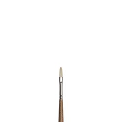 WN Artists' Oil Synthetic Hog Bristle Brushes - Filbert (Winsor & Newton)