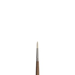 WN Artists' Oil Synthetic Hog Bristle Brushes - Round (Winsor & Newton)