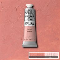 WOC Pale Rose Blush (Winton Oil-Winsor & Newton)