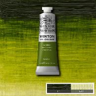 WOC Sap Green (Winton Oil-Winsor & Newton)