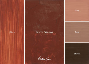 1980 Burnt Sienna (Gamblin Oil)