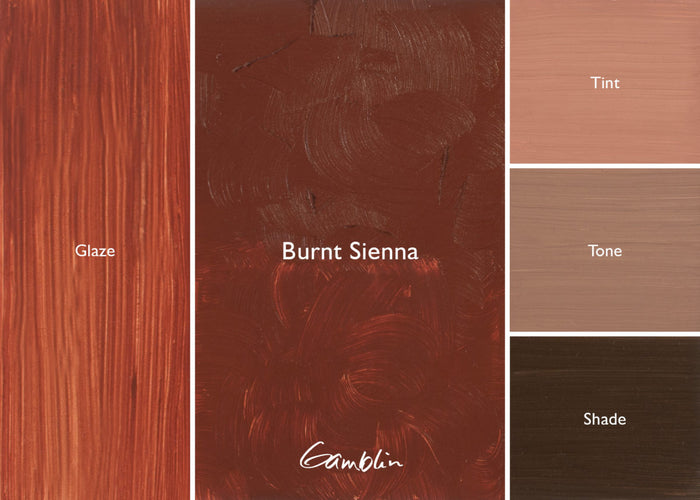 1980 Burnt Sienna (Gamblin Oil)