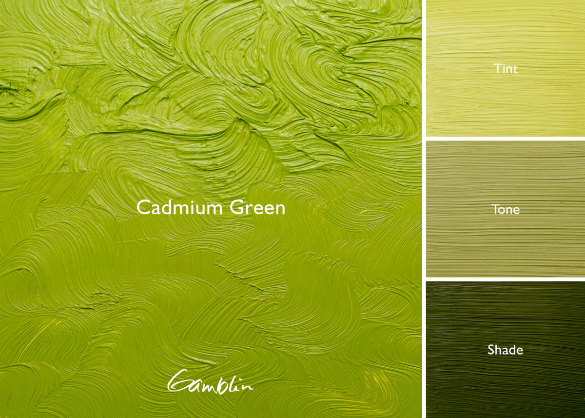 【使用期間4ヶ月のみ！】☆美品☆DIVINE オリーブグリーン 1980 Cadmium Green (Gamblin Oil) – Alabama Art Supply