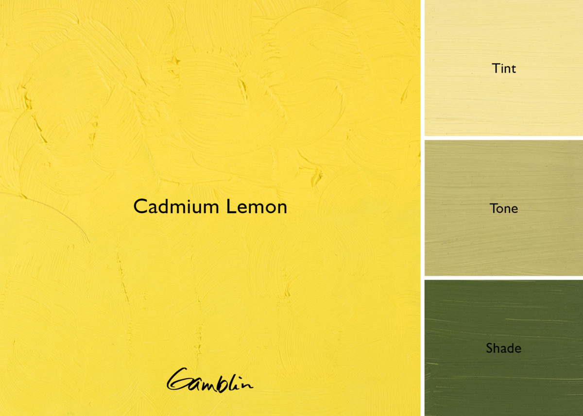 Cadmium Lemon (Gamblin Artist Oil) – Alabama Art Supply