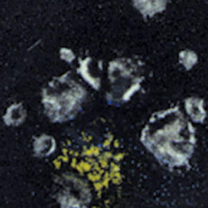CTL-1 JET MOSS (AMACO)