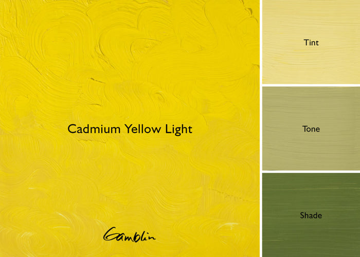 1980 Cadmium Yellow Light (Gamblin Oil)