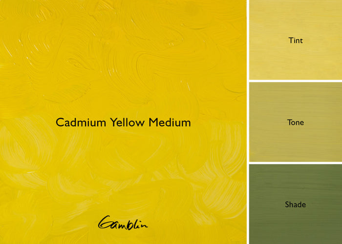 Cadmium Yellow Medium (Gamblin Artist Oil)