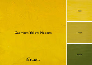 1980 Cadmium Yellow Medium (Gamblin Oil)