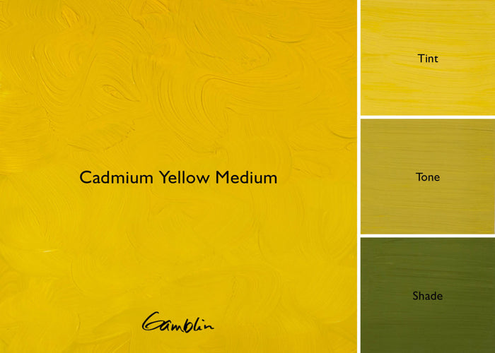 1980 Cadmium Yellow Medium (Gamblin Oil)