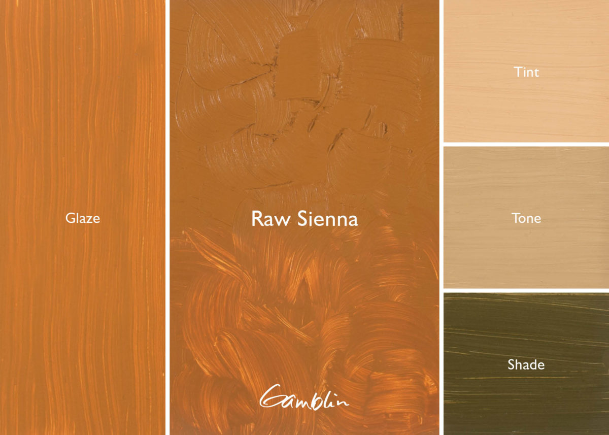 1980 Raw Sienna (Gamblin Oil) – Alabama Art Supply