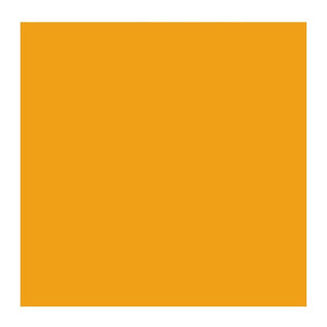 Cadmium Yellow Deep 210 (Rembrandt Oil Colour)