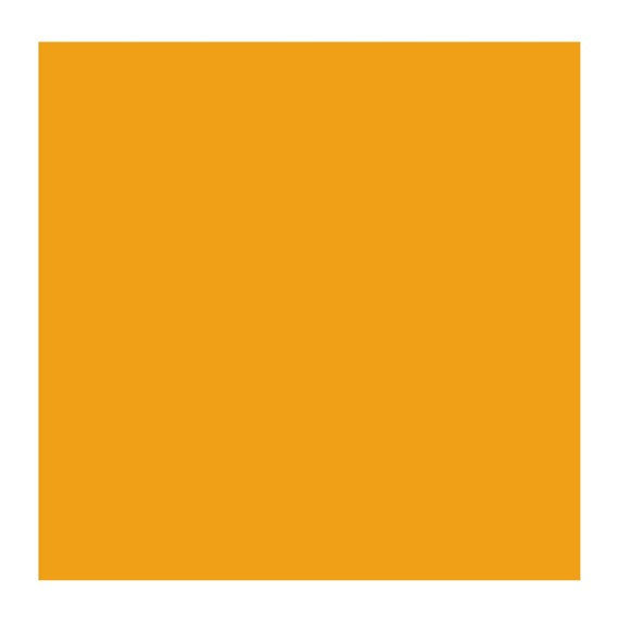 Cadmium Yellow Deep 210 (Rembrandt Oil Colour)