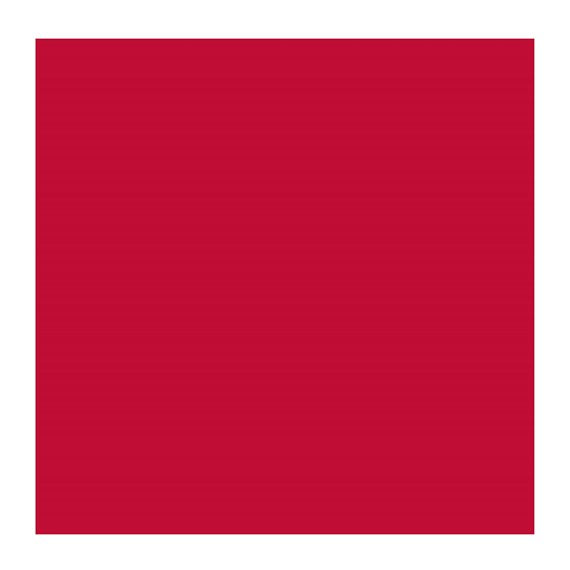 Permanent Red Purple 348 (Rembrandt Oil Colour)
