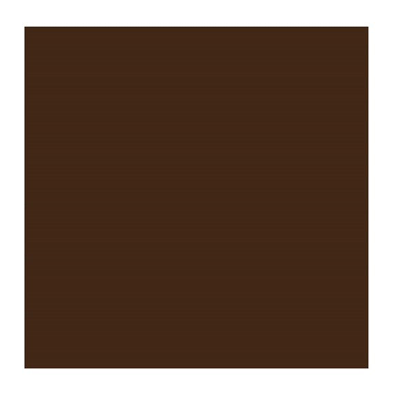 Sepia 416 (Rembrandt Oil Colour)