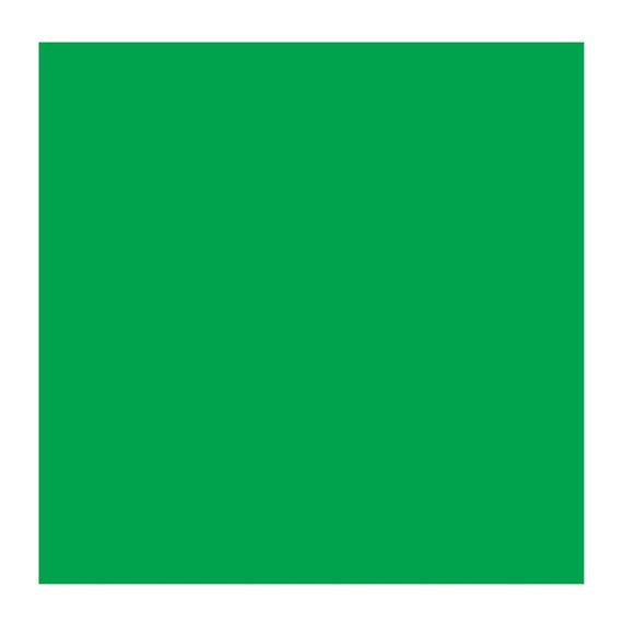 Permanent Green Medium 614 (Rembrandt Oil Colour)