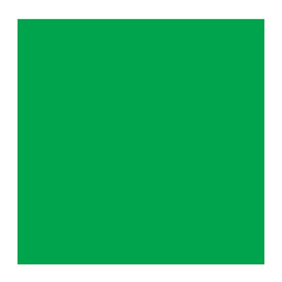 Emerald Green 615 (Rembrandt Oil Colour)