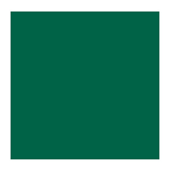 Viridian 616 (Rembrandt Oil Colour)