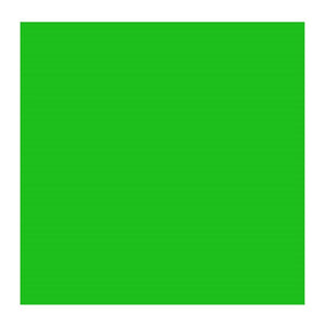 Permanent Green Light 618 (Rembrandt Oil Colour)