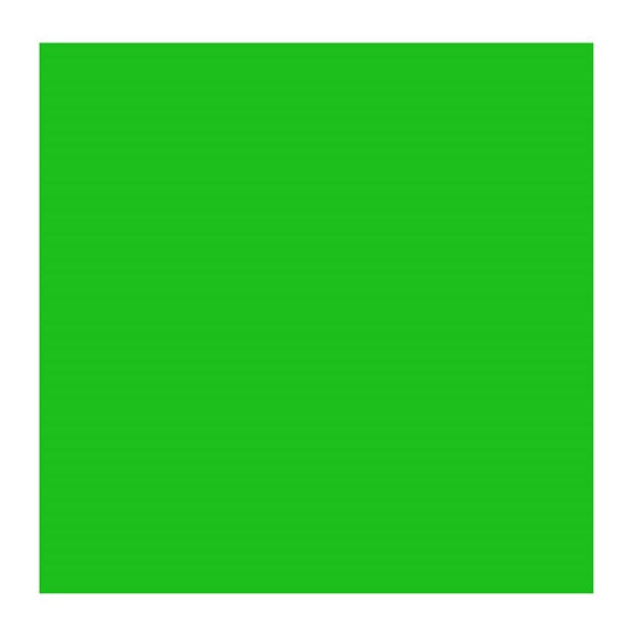 Permanent Green Light 618 (Rembrandt Oil Colour)
