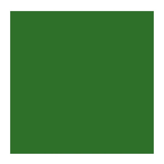 Royal Talens : Rembrandt Watercolour Paint : 20ml : Sap Green | Jackson's Art