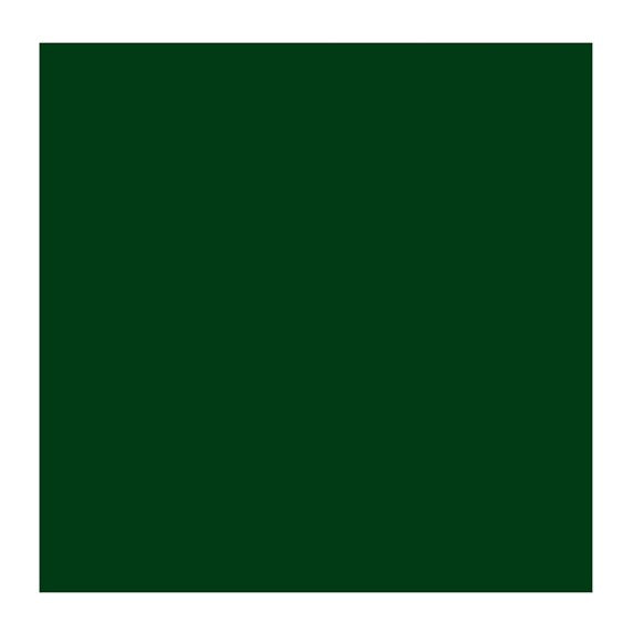Green Earth 629 (Rembrandt Oil Colour)