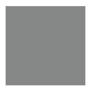 Cold Grey 717 (Rembrandt Oil Colour)